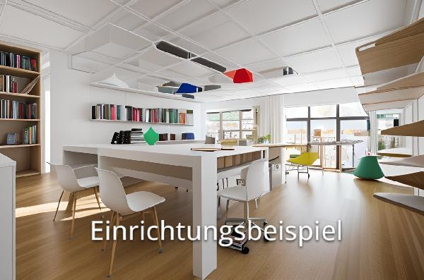 Einrichtungsbeispiel Verkaufsraum .jpg