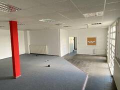 IMG_1481 (Medium).JPG